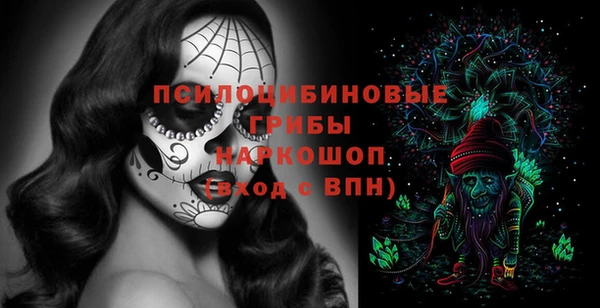 СК Алексеевка