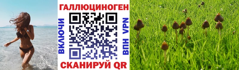 Галлюциногенные грибы Magic Shrooms  blacksprut ссылка  darknet как зайти  Плавск 